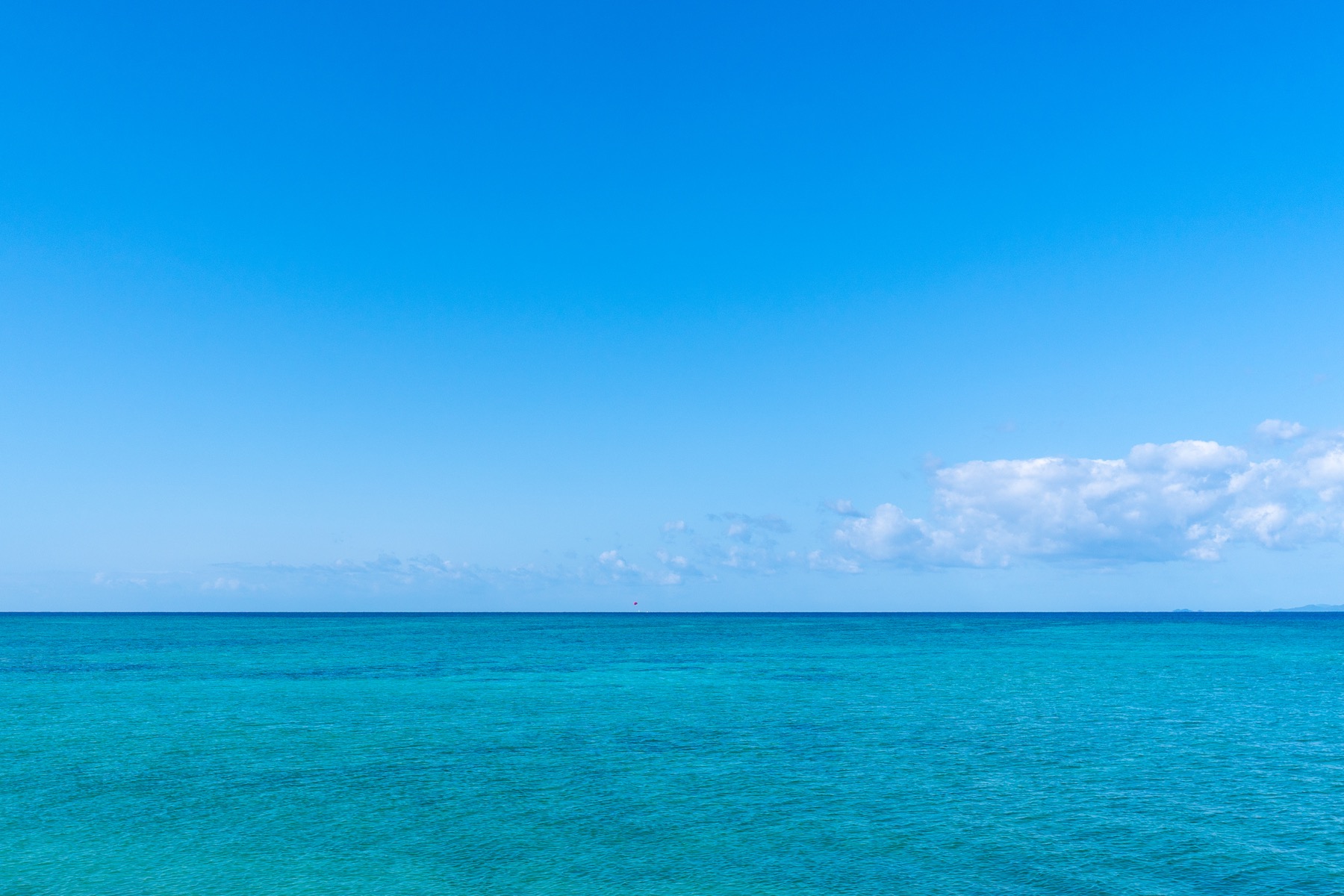 青い海の水平線